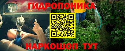 мдпв Лесосибирск