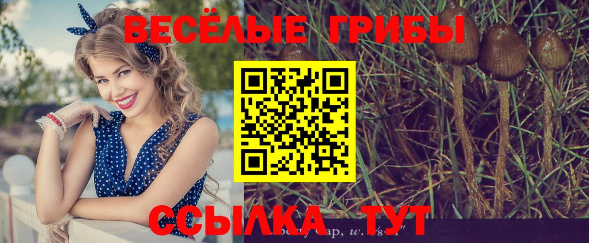Галлюциногенные грибы Cubensis  Вход с VPN  Волгоград 